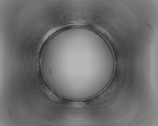 X0000113181168200909181847