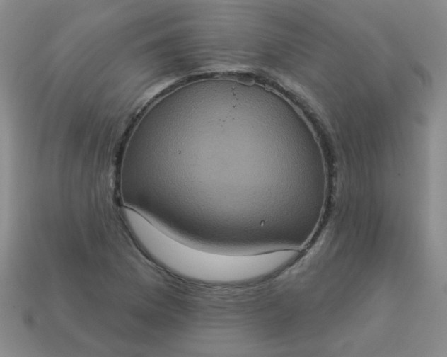 X0000113181169200909181847