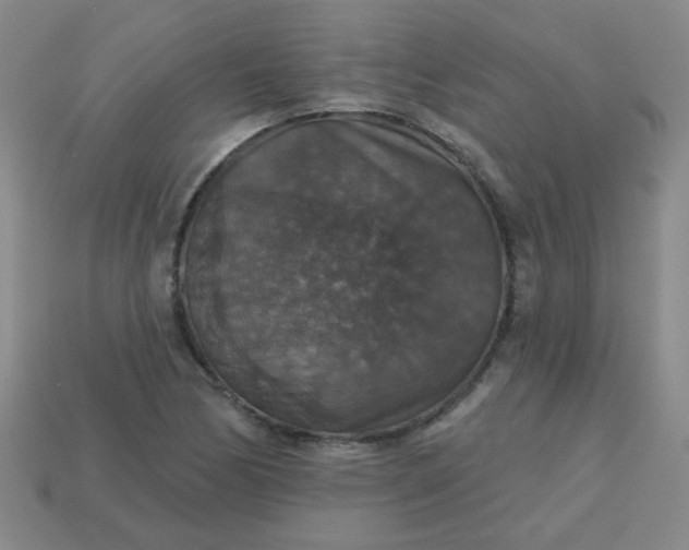 X0000113181170200909181847