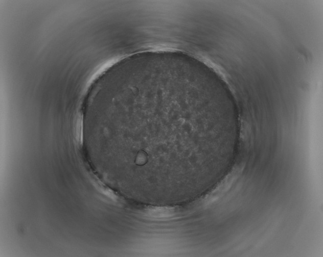 X0000113181171200909181847