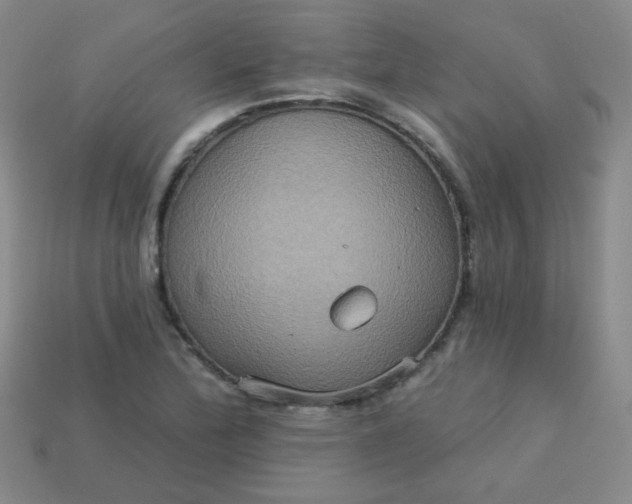 X0000113181172200909181847