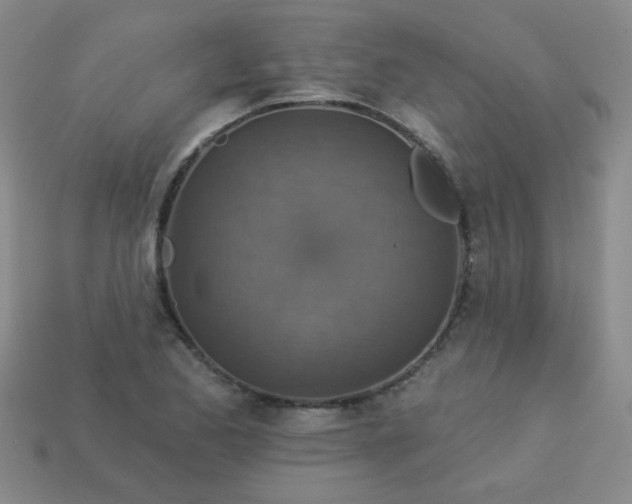 X0000113181173200909181847