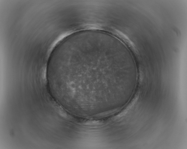 X0000113181174200909181847