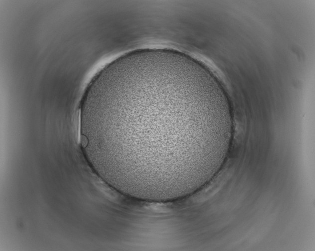 X0000113181175200909181847