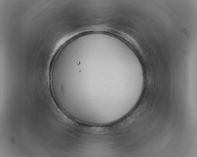 X0000113181176200909181847