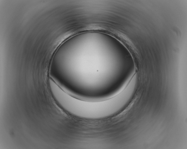 X0000113181177200909181847