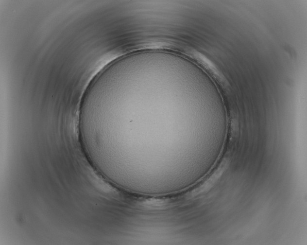 X0000113181178200909181847