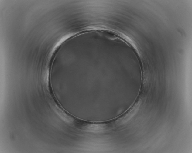 X0000113181179200909181847