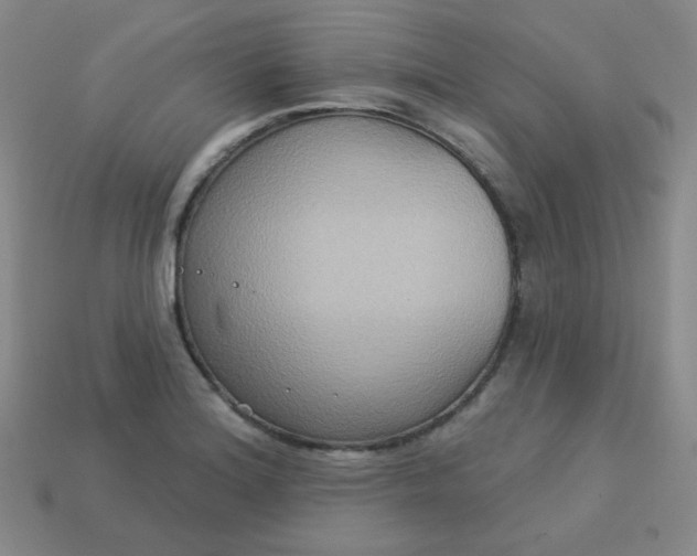 X0000113181180200909181847