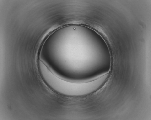 X0000113181181200909181847