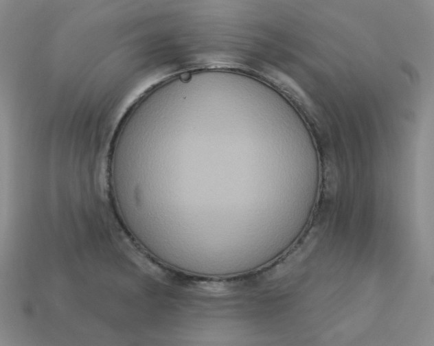 X0000113181182200909181847