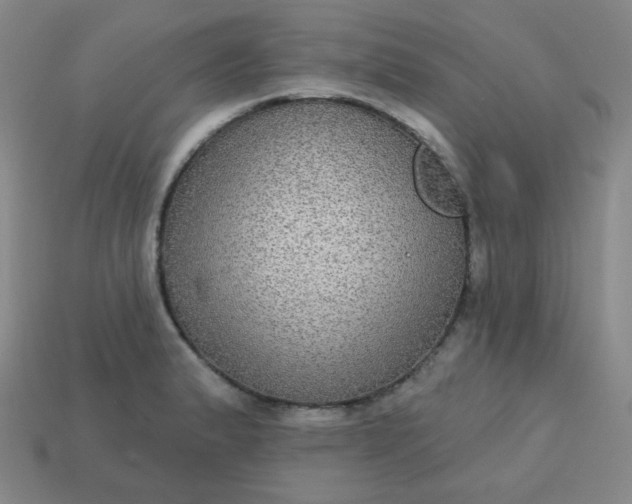 X0000113181183200909181847