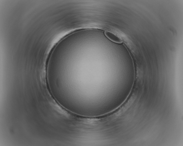 X0000113181184200909181847