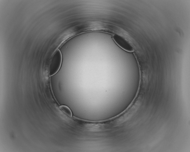 X0000113181185200909181847