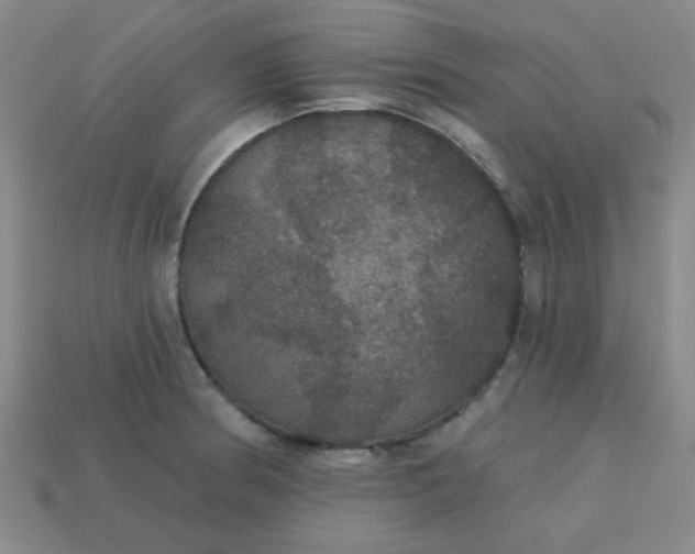 X0000113181186200909181847