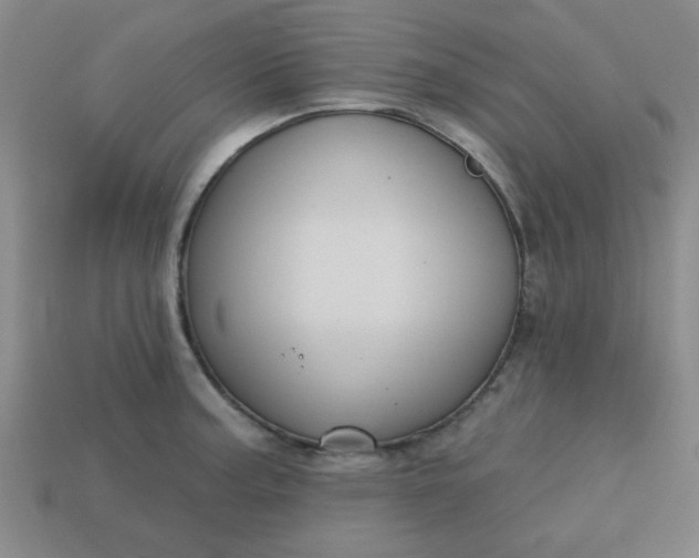 X0000113181187200909181847