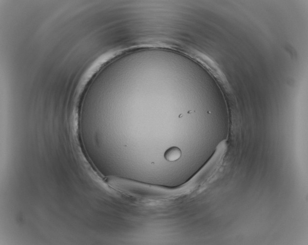 X0000113181188200909181847