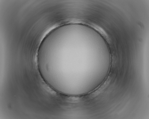 X0000113181190200909181847