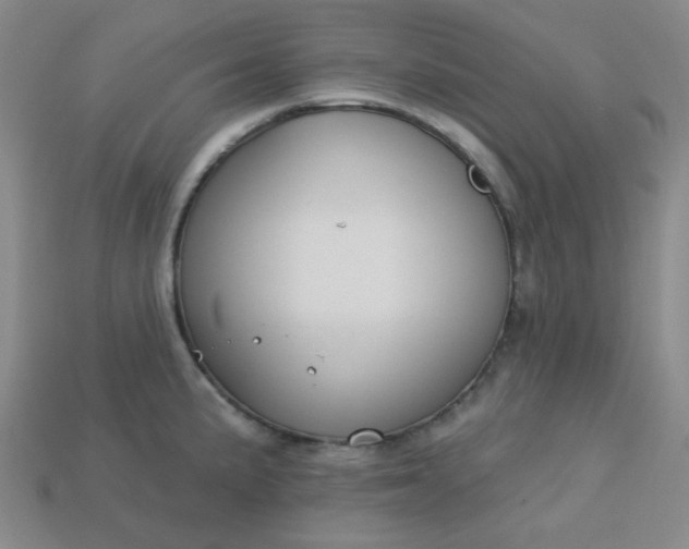 X0000113181191200909181847