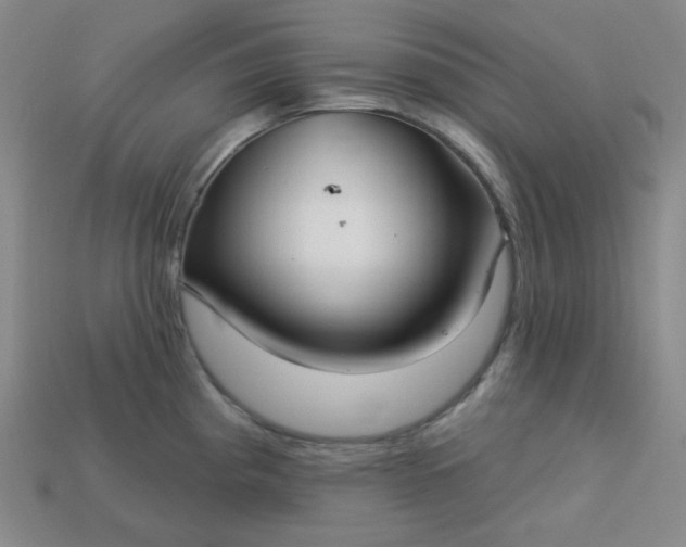 X0000113181193200909181847