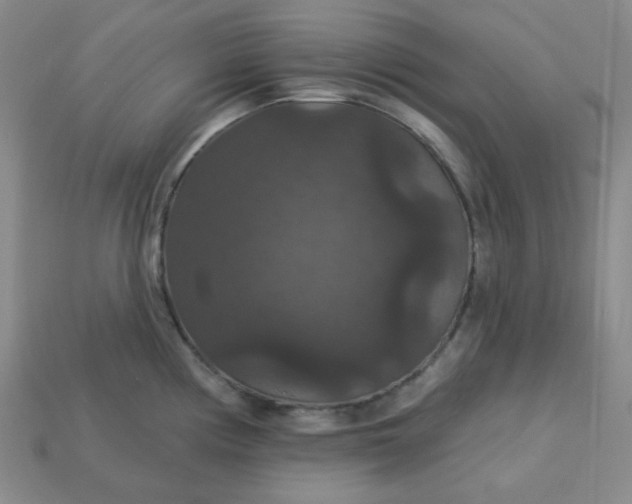 X0000113181194200909181847