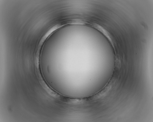 X0000113181195200909181847