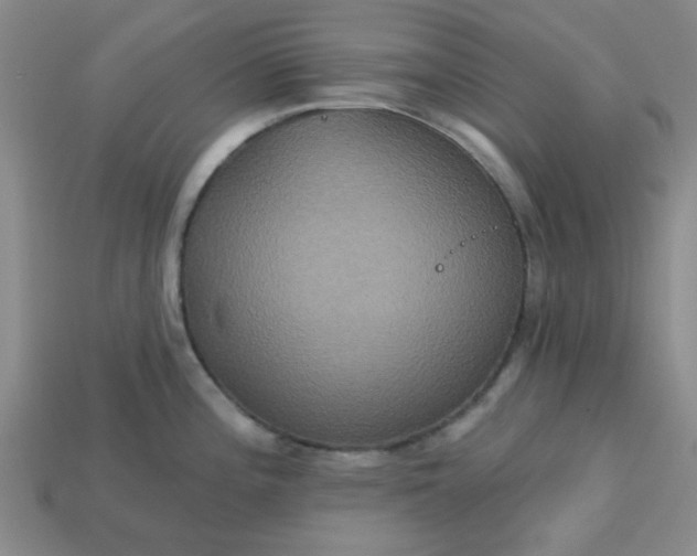 X0000113181196200909181847