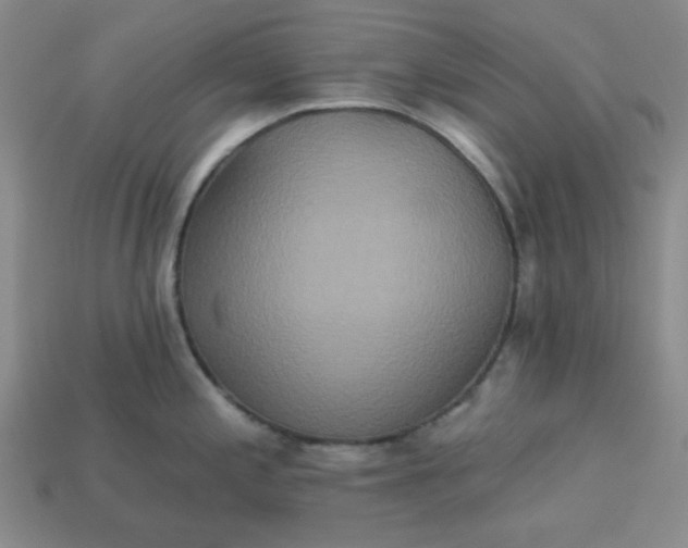 X0000113181197200909181847