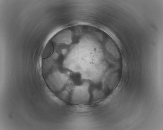 X0000113181198200909181847