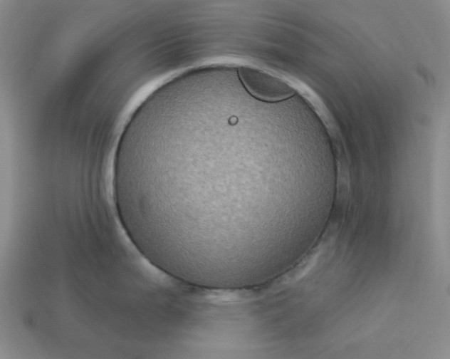 X0000113181199200909181847