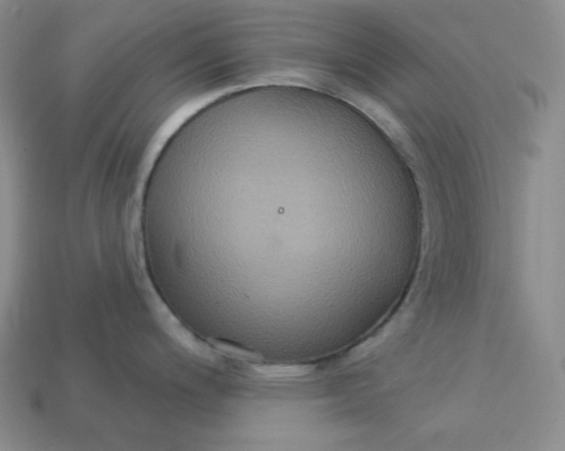 X0000113181200200909181847