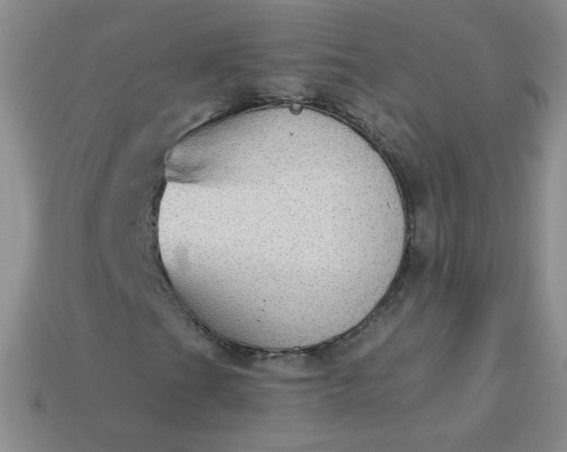 X0000113181201200909181846