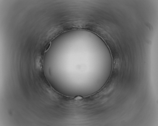 X0000113181202200909181846