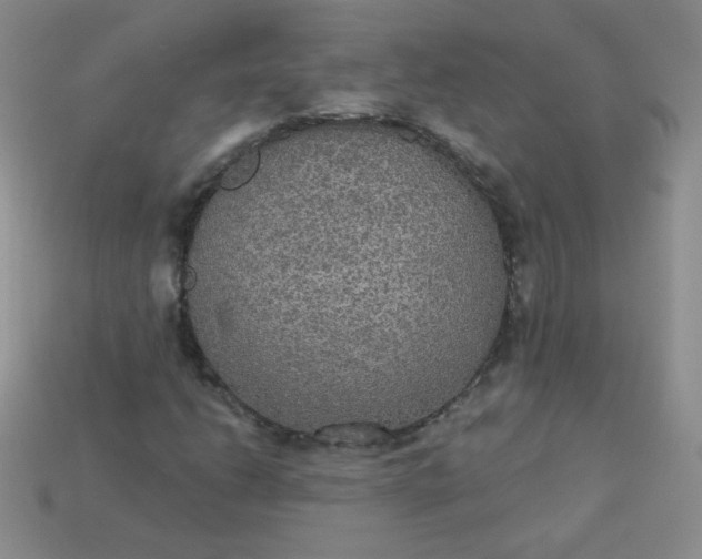 X0000113181206200909181846