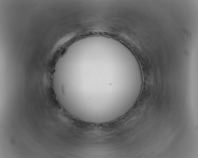 X0000113181207200909181846