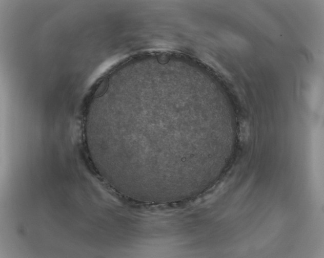 X0000113181208200909181846