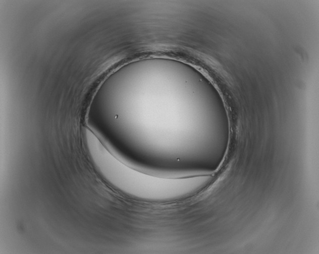 X0000113181209200909181846