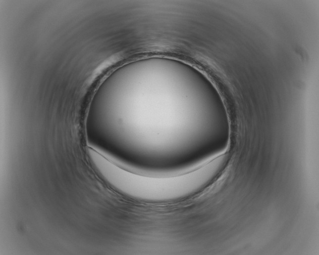 X0000113181210200909181846