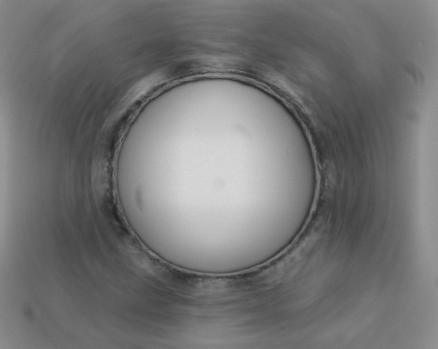 X0000113181211200909181846