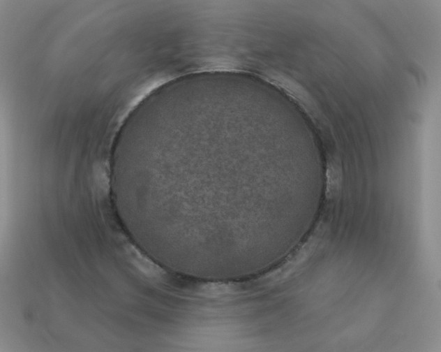 X0000113181212200909181846