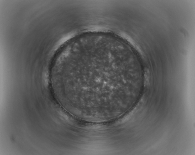 X0000113181213200909181846