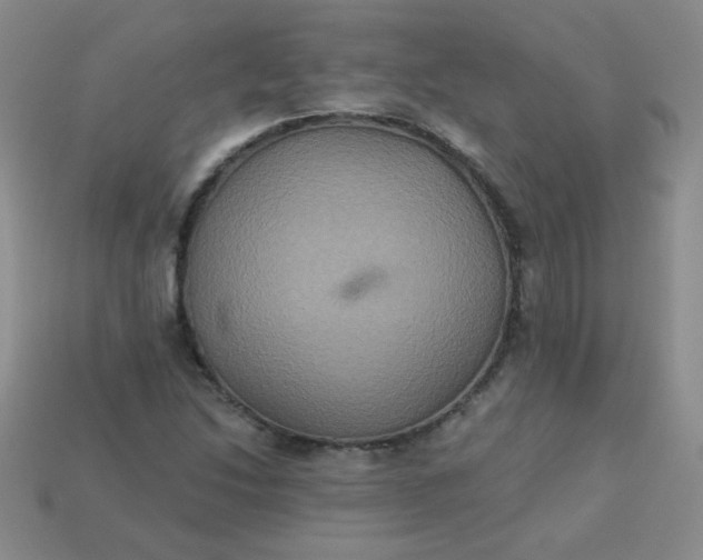 X0000113181214200909181846