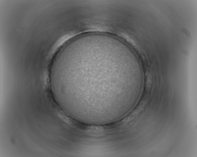 X0000113181215200909181846