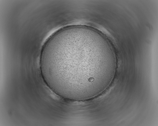 X0000113181216200909181846