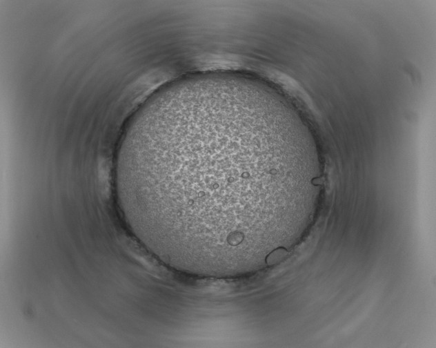 X0000113181217200909181846