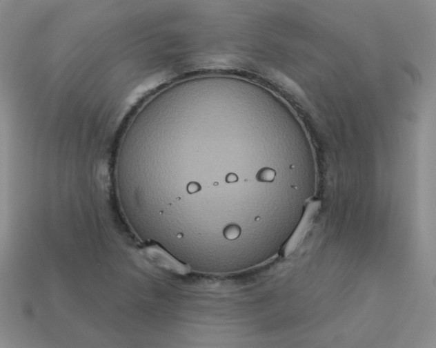 X0000113181218200909181846