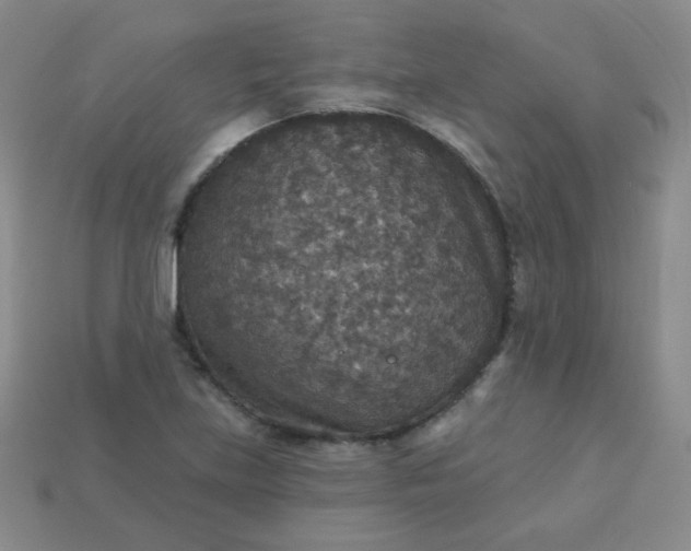 X0000113181219200909181846