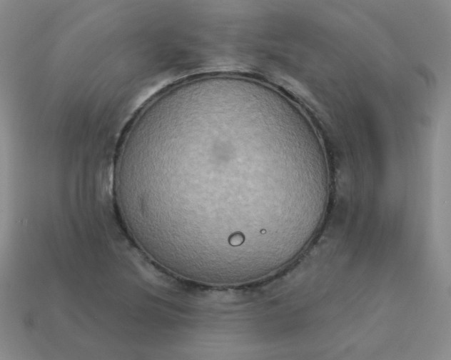 X0000113181220200909181846