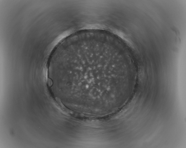 X0000113181221200909181846