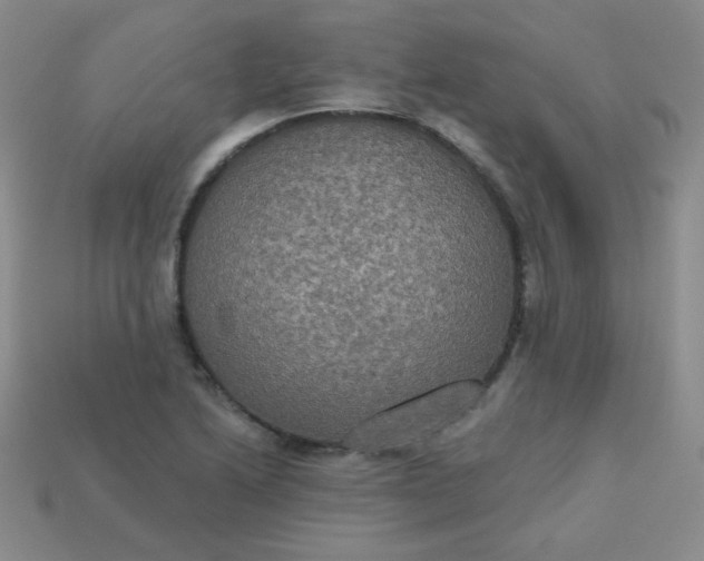 X0000113181222200909181846